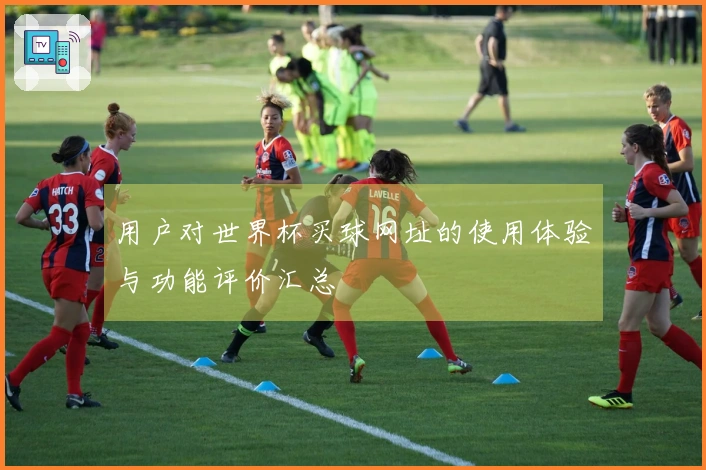用户对世界杯买球网址的使用体验与功能评价汇总