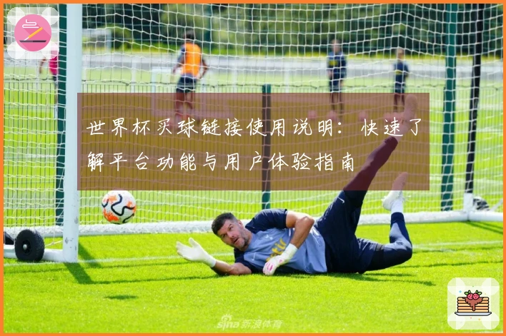 世界杯买球链接使用说明：快速了解平台功能与用户体验指南