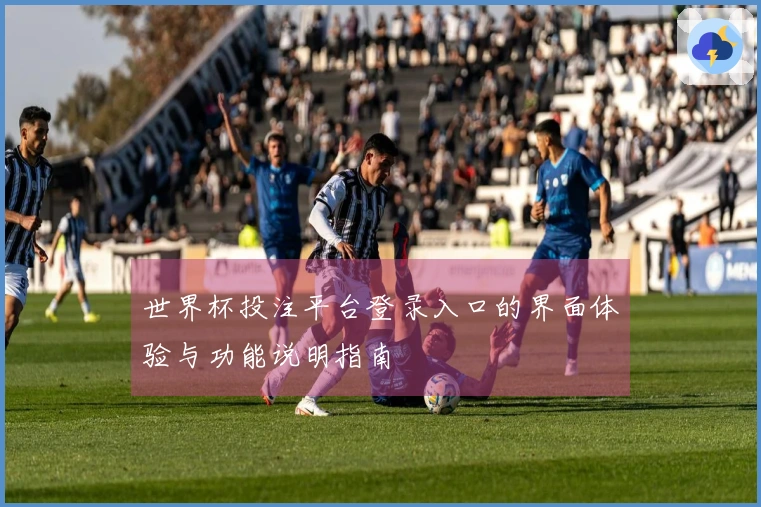 世界杯投注平台登录入口的界面体验与功能说明指南