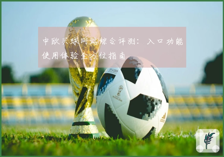 中欧买球网站综合评测：入口功能使用体验全方位指南