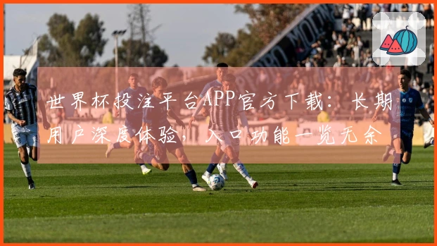 世界杯投注平台APP官方下载：长期用户深度体验，入口功能一览无余