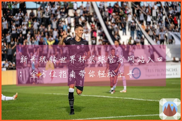 新手玩转世界杯买球官方网站入口：全方位指南带你轻松上手