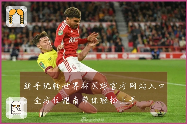 新手玩转世界杯买球官方网站入口：全方位指南带你轻松上手