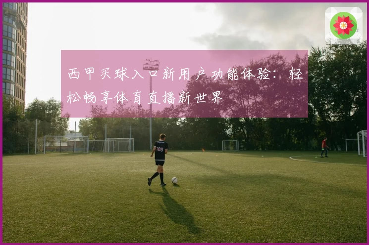 西甲买球入口新用户功能体验：轻松畅享体育直播新世界