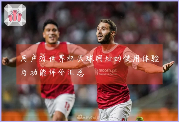 用户对世界杯买球网址的使用体验与功能评价汇总